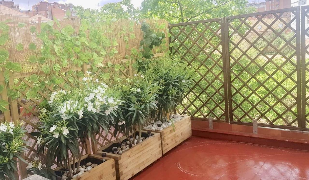 Apartamento San Quirce - Centrico Y Reformado- Wifi Y Netflix Valladolid Dış mekan fotoğraf